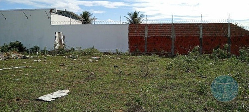 Imagem 8 de 10 de Venda De Terreno No Planalto, Excelente Localizacao. - V-11346