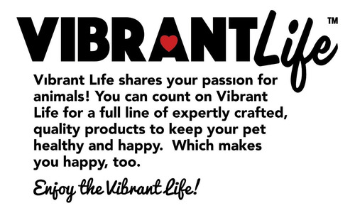 Dispensador De Agua Grande Para Mascotas Vibrant Life,