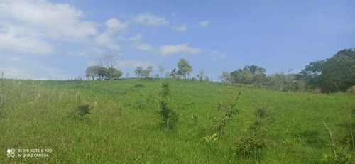 Imagem 5 de 10 de A30 Lote Com Arborização