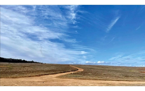 Imagen 7 de 15 de Vende Terrenos, Ritoque. Proyecto Altos De Bosquemar, Ritoqu