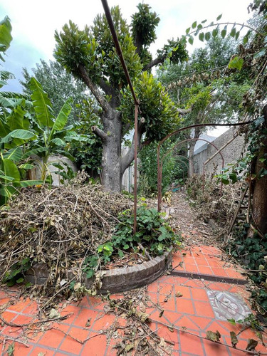 Levalle 1574, Banfield Este Lote De 562 M2 Con Casa A Demoler - Zon.: R 3-1