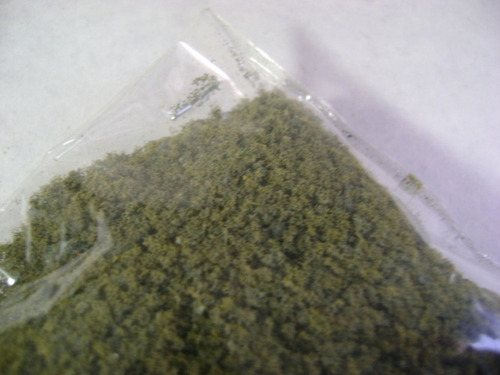 Imagen 2 de 6 de Nico Sobre Esponja Verde O Obscuro Voo H0 (pmf 27)