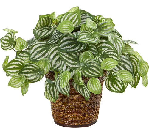 Casi Natural 13 Pulgadas. Cesta Artificial Sandía Peperomia 