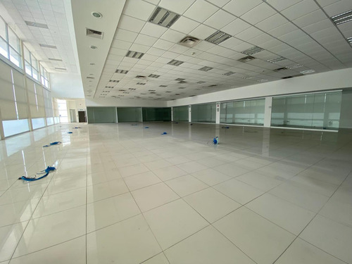 Oficinas En Renta En Tabasco 2000 Villahermosa Tab