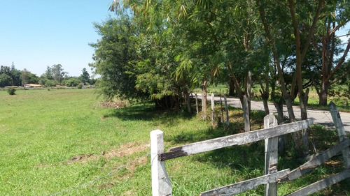 Vendo Terreno / Chacara De 21000m² Em Pindamonhangaba (4174)