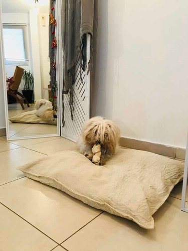 Funda Para Colchon De Mascota Talle L