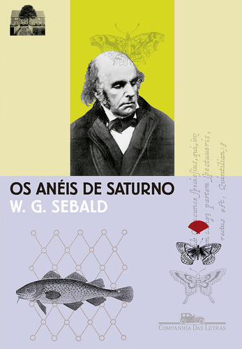 Os anéis de saturno: Uma peregrinação inglesa, de Sebald, W. G.. Editorial Companhia das Letras, capa mole em português, 2010
