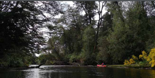 Hermosa Parcela Con Bosque En Condominio Río Negro Ancud 