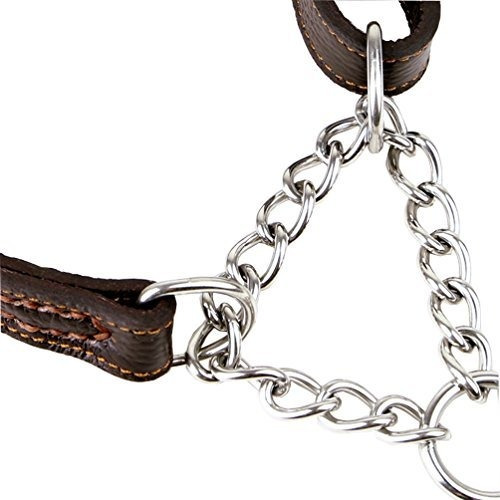 Imagen 4 de 7 de Collar De Estrangulador De Cuero Para Perro Martingala,