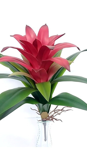 Galho Flor Bromélia Silicone Folhas Raiz Bromelia Arranjos | Frete grátis