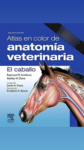 Atlas En Color De Anatomía Del Caballo 
