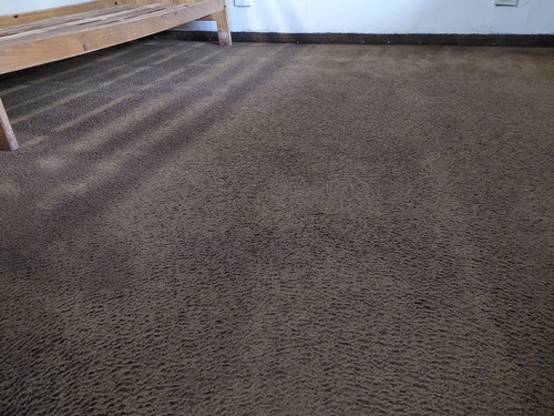 Imagen 5 de 5 de Limpieza De Tapizados Y Alfombras
