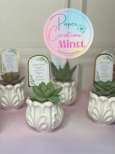 10 Mini Macetas Para Suculentas Velas Bautizo Boda Recuerdo
