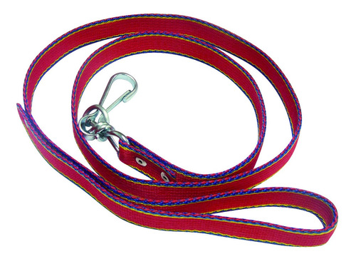 Correa Para Perro Cincha De Nylon N°1 / 15x110cm Nacional