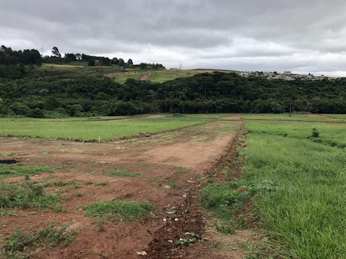 Imagem 10 de 15 de Terreno Para Venda Em Ponta Grossa, Neves - L-eco31_1-859684