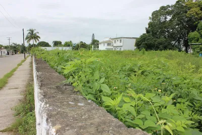 Terreno en renta