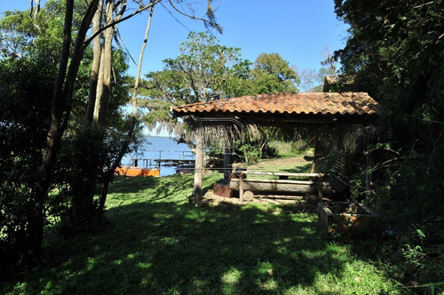 Imagem 3 de 8 de Sitio - Itapeva - Ref: 31569 - V-31566