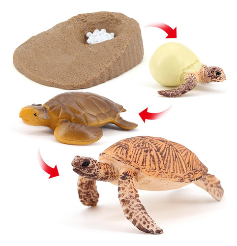 Tortuga De Plástico Ciclo De Animal Tortuga Marina 2423