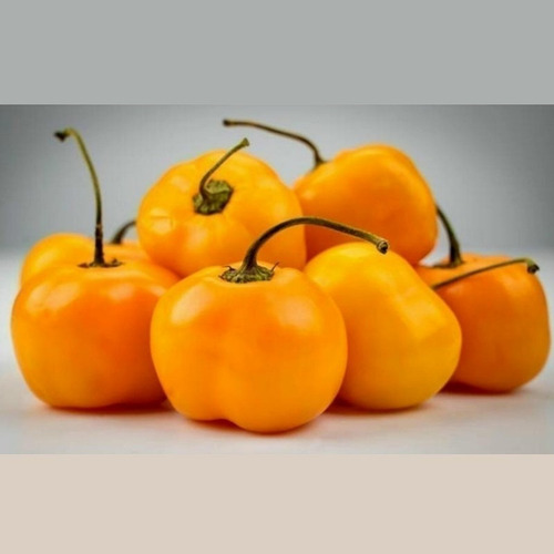 150  Semillas De Chile Amarillo Dulce  Jelena  - Frutas Gran