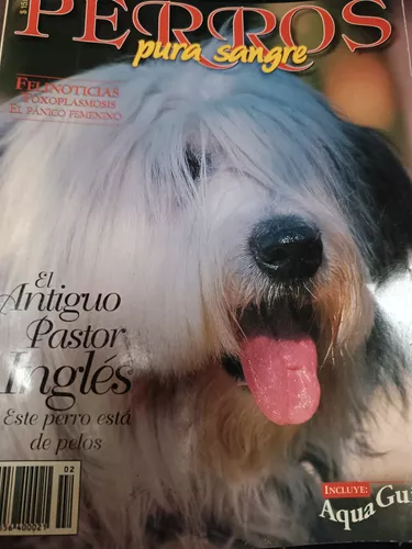 Revista Perros Pura Sangre  Antiguo Perro de Pastor Inglés