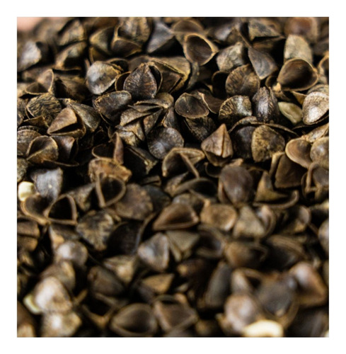 Trigo Sarraceno Com Casca 5 Kg + 10 Outras Sementes/brinde