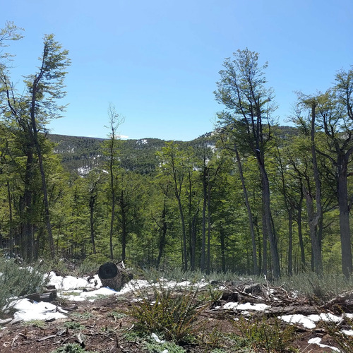 Terreno 35.000m² En Villa Ortega, Coyhaique (172846)
