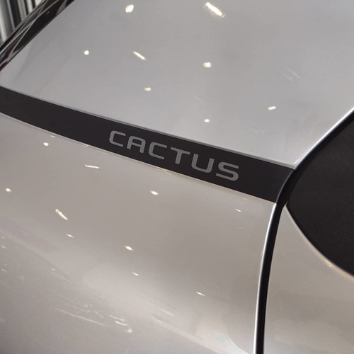 Citroën C4 Cactus 2021 1.6 Vti 115 Feel Pk