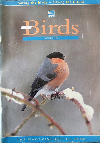 Revista Ornitologia Birds  (aa903