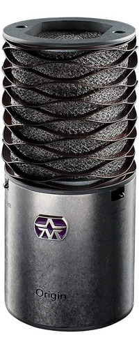 Micrófono De Condensador Cardioide Gradiente Aston Origin Color Gris