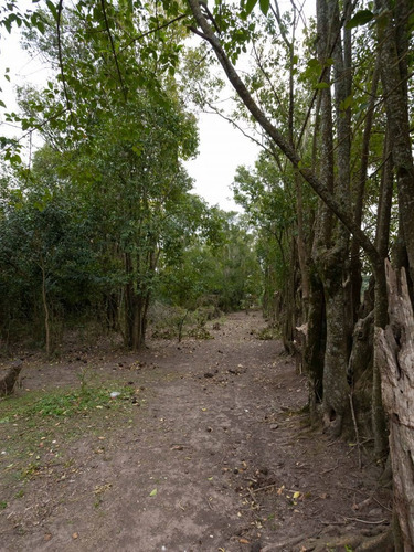 Imagen 7 de 13 de Lote | Mendoza