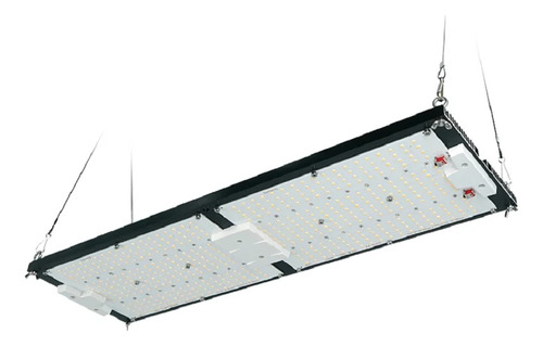 Quantum Board 240w Samled S240 2024 Alba Delux