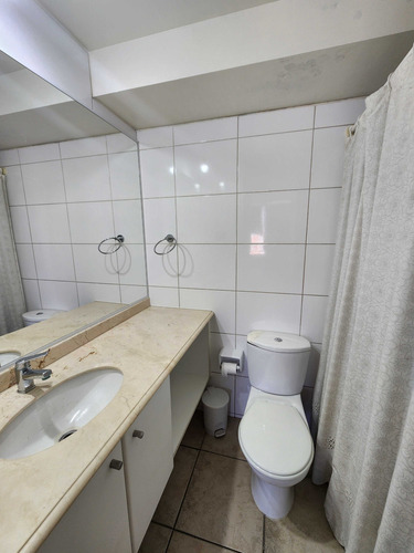 Arriendo Bellas Artes Con Ggcc Incluidos (79580)