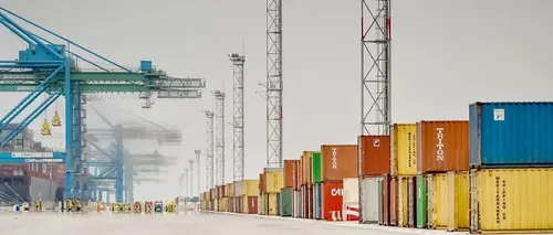 Despachante De Aduana - Importacion / Exportacion Ncm Comex