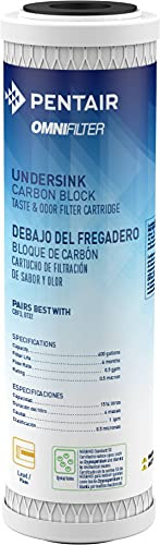 Filtro Agua Carbón Omnifilter Cb3, 10puLG Bloque Carbono