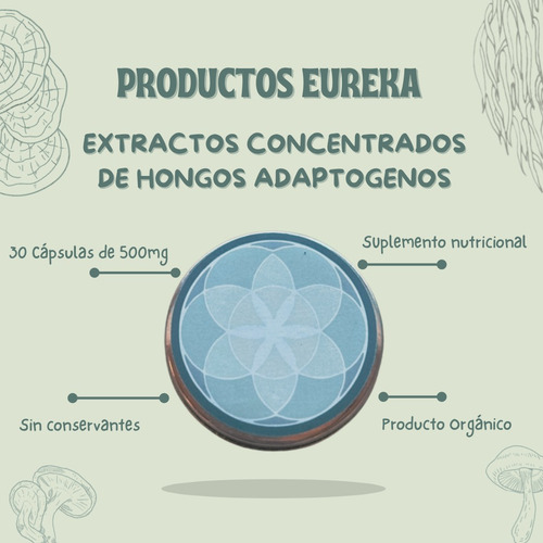 Combo Ashwagandha + Reishi - Extracto - Cápsulas 500mg Sin Sabor