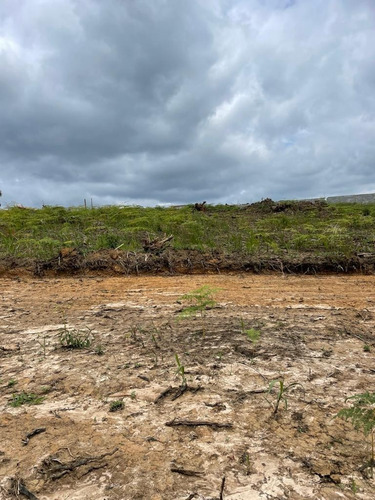 Imagem 4 de 7 de E6- Condominio De Chacaras E Casa De Campo Em Mogi