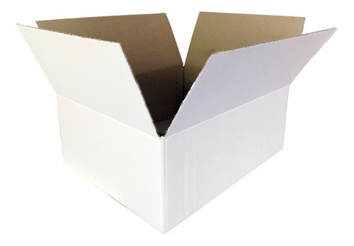 Caja Carton Embalaje Blanca 20x20x10 Reforzada 50 Unidades