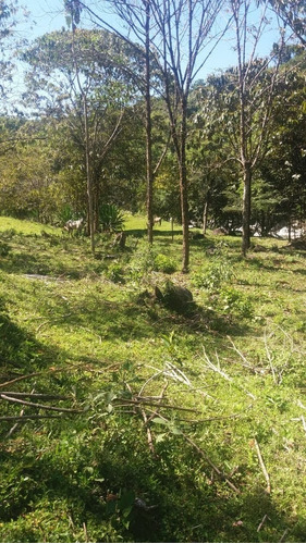 Se Vende Finca En Alejandría Antioquia 