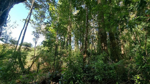 Parcela En Venta Lomas Del Mirador Puerto Varas