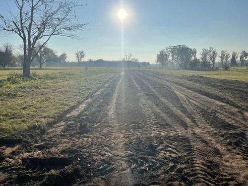 Terreno En Venta Abasto Estancia Chica