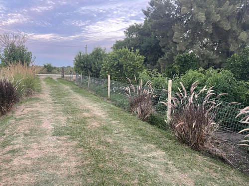 ¡viva Rodeado De Naturaleza En Esta Hermosa Chacra !