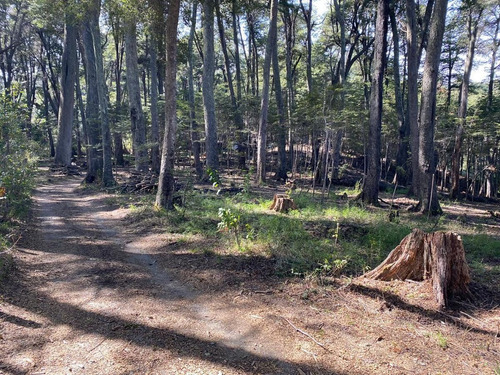 Imagen 14 de 20 de Terreno Sobre Costa Del Lago Moreno - El Trébol