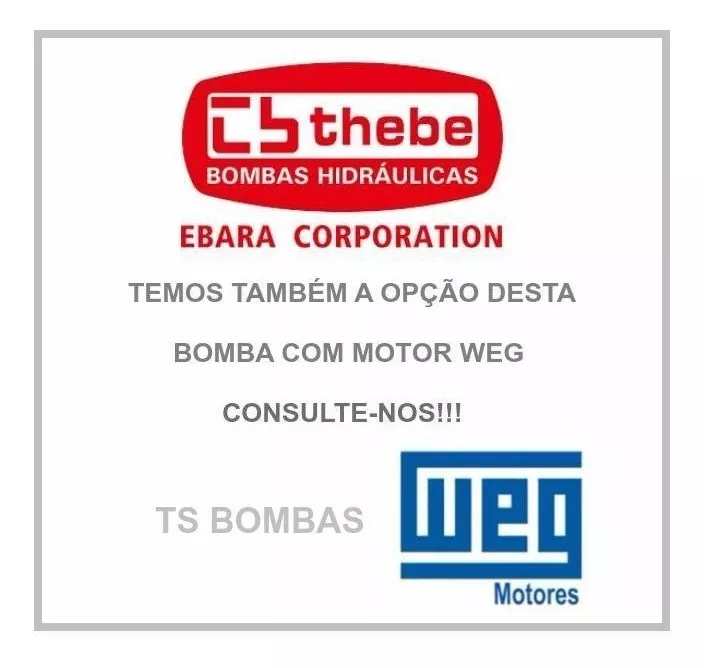 Segunda imagem para pesquisa de bomba th 16 nr 3 cv thebe