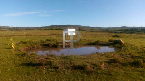 Imagen 2 de 6 de Campo En Venta Pueblo Edén 5 Hectáreas