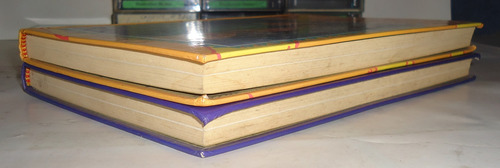 2 Libros Disney: Pocahontas - El Jorobado Ediciones B (Usado)
