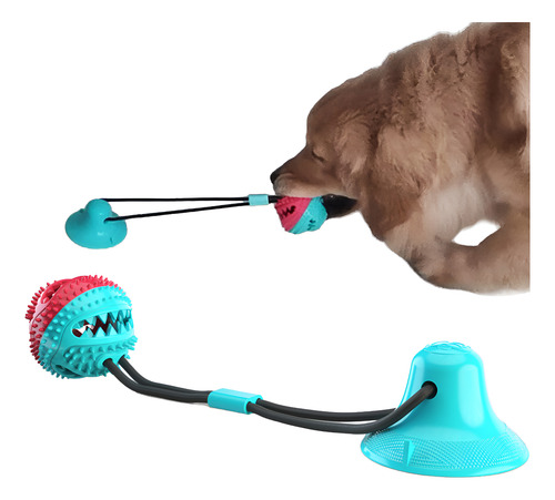 Cepillo De Dientes Duradero Para Mascotas Con Mordedura Mola