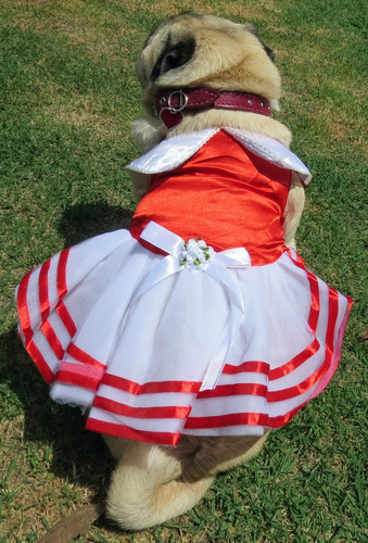 Vestido Para Cachorro/ Gato Verão Vermelho