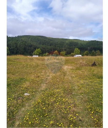 Tu Refugio Natural En Valdivia 26000 M² De Ensueño