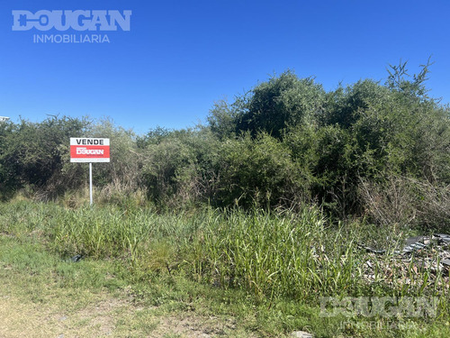 Terreno En Venta En Barrio Parque