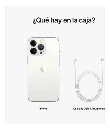 Apple iPhone 13 Pro (256 Gb) - Plata 8gb De Ram (Reacondicionado)
